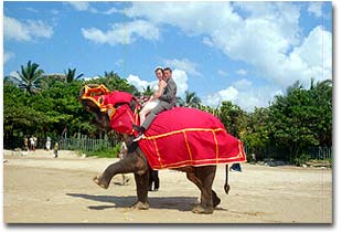 beach wedding sri lanka