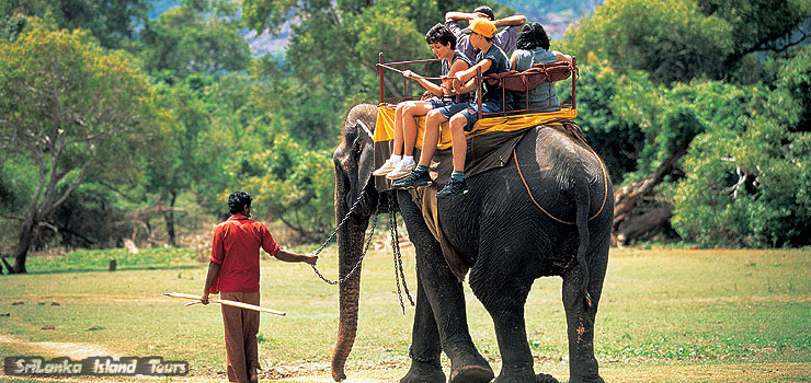 elephant ride Sigiriya Sri Lanka