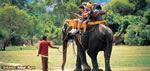 ELEPHANT CORRIDOR HOTEL elephant ride sri lanka