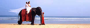 elephant ride on beaches of sri lanka south coast sri lanka beach wedding packages